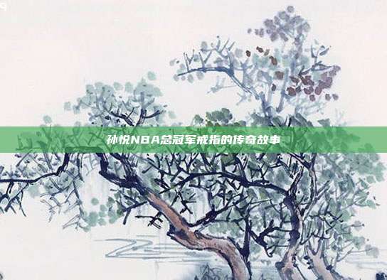 孙悦NBA总冠军戒指的传奇故事