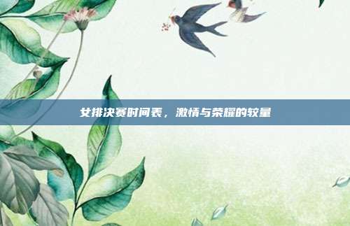 女排决赛时间表,激情与荣耀的较量