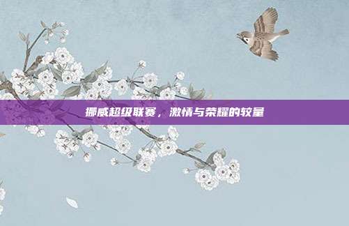 挪威超级联赛，激情与荣耀的较量