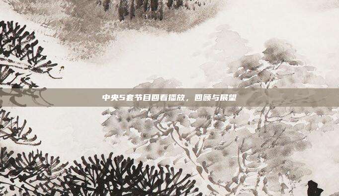 中央5套节目回看播放,回顾与展望