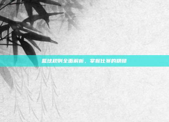 篮球规则全面解析,掌握比赛的精髓