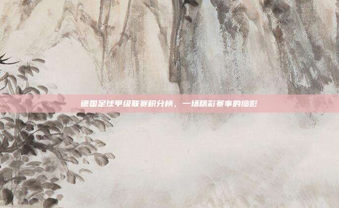德国足球甲级联赛积分榜,一场精彩赛事的缩影