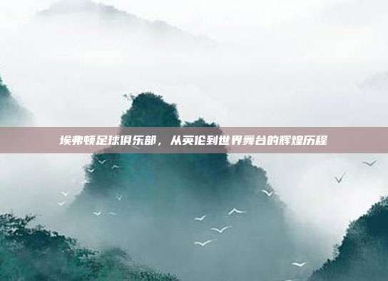 埃弗顿足球俱乐部,从英伦到世界舞台的辉煌历程