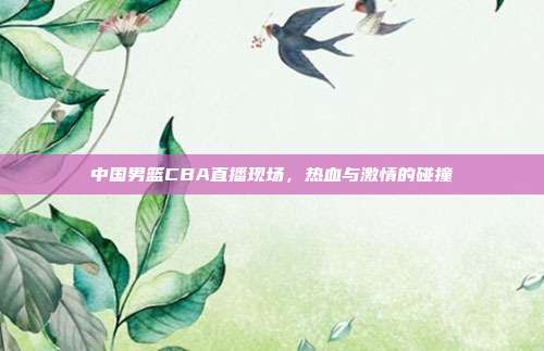 中国男篮CBA直播现场，热血与激情的碰撞