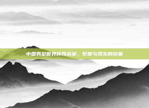 中国男足世界杯预选赛,梦想与现实的较量