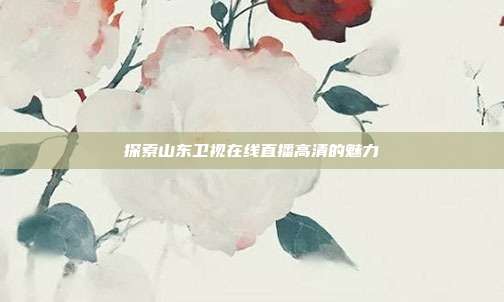 探索山东卫视在线直播高清的魅力