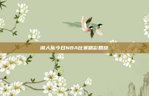 湖人队今日NBA比赛精彩回放