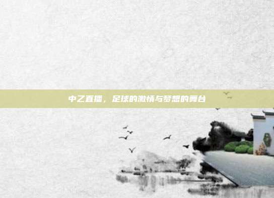 中乙直播，足球的激情与梦想的舞台