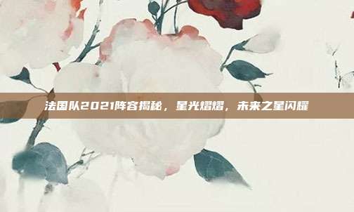 法国队2021阵容揭秘,星光熠熠,未来之星闪耀