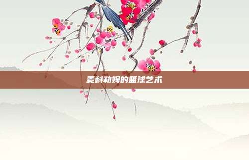 麦科勒姆的篮球艺术