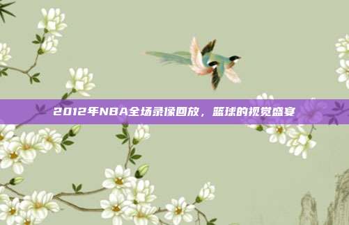 2012年NBA全场录像回放,篮球的视觉盛宴