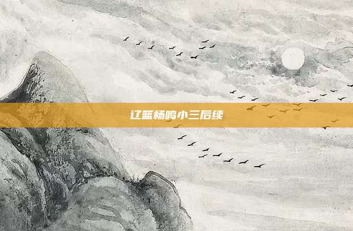 辽篮杨鸣小三后续