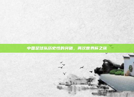 中国足球队历史性的突破,两次世界杯之旅