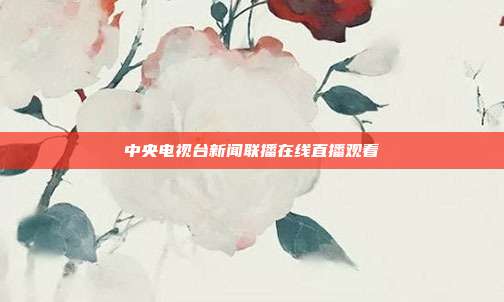 中央电视台新闻联播在线直播观看