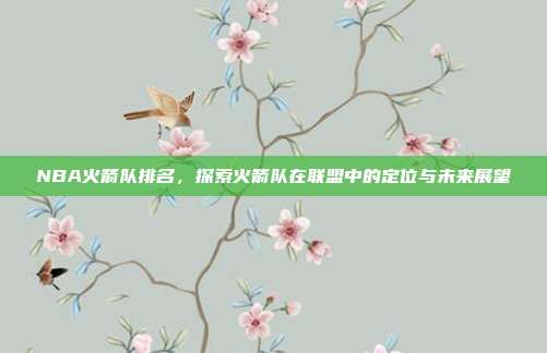 NBA火箭队排名,探索火箭队在联盟中的定位与未来展望