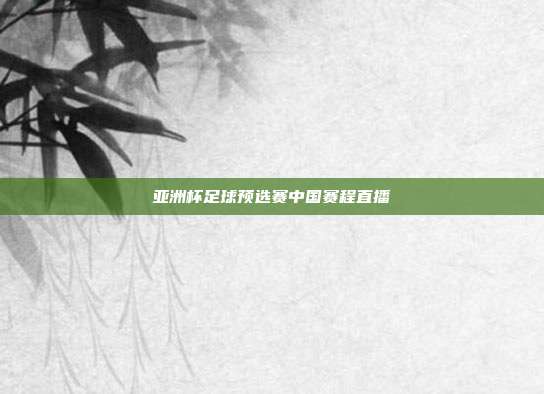 亚洲杯足球预选赛中国赛程直播