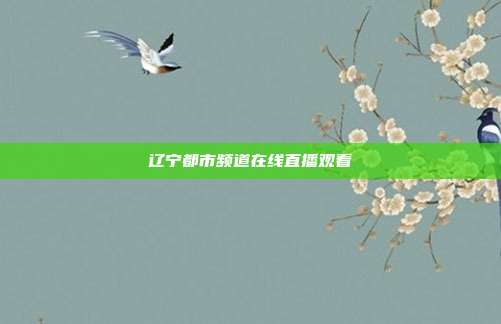 辽宁都市频道在线直播观看