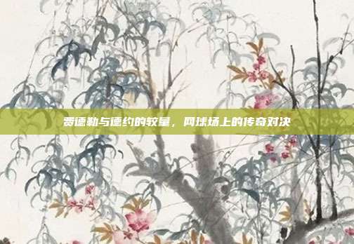 费德勒与德约的较量，网球场上的传奇对决