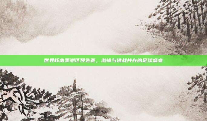 世界杯南美洲区预选赛,激情与挑战并存的足球盛宴