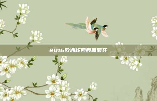 2016欧洲杯回顾葡萄牙