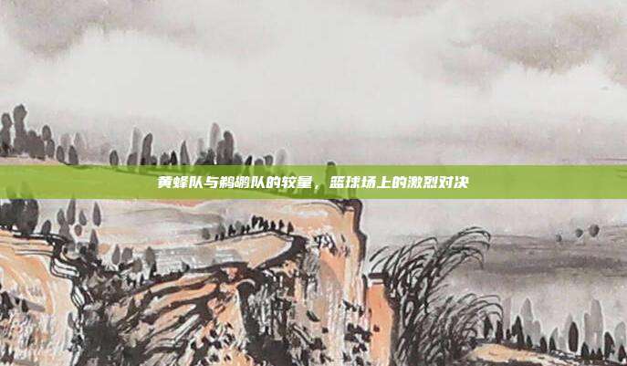 黄蜂队与鹈鹕队的较量,篮球场上的激烈对决