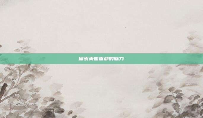 探索美国首都的魅力