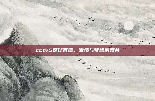 cctv5足球直播,激情与梦想的舞台