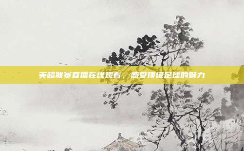 英超联赛直播在线观看，感受顶级足球的魅力