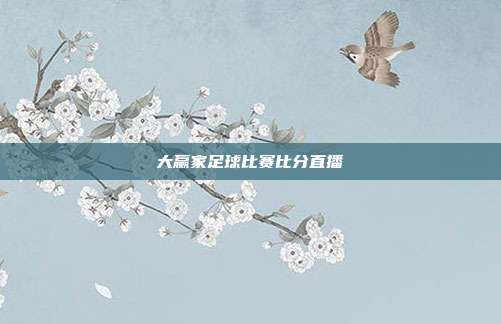 大赢家足球比赛比分直播
