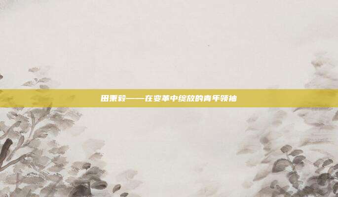 田秉毅——在变革中绽放的青年领袖