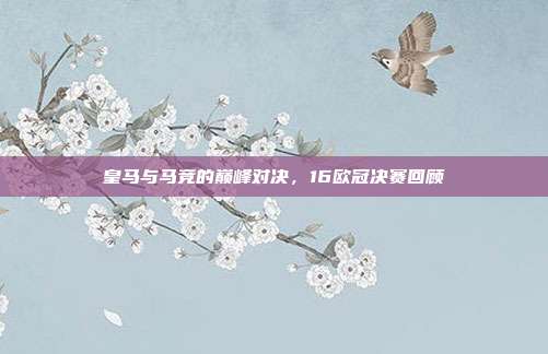 皇马与马竞的巅峰对决,16欧冠决赛回顾