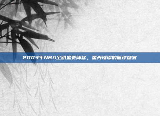 2003年NBA全明星赛阵容，星光璀璨的篮球盛宴