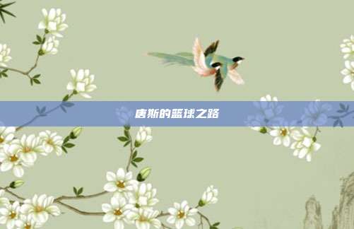 唐斯的篮球之路