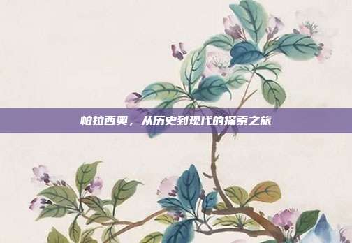 帕拉西奥，从历史到现代的探索之旅