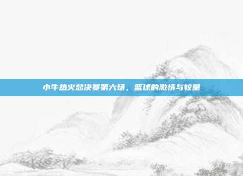 小牛热火总决赛第六场，篮球的激情与较量
