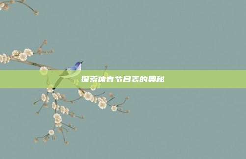 探索体育节目表的奥秘