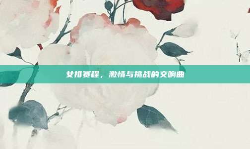 女排赛程，激情与挑战的交响曲