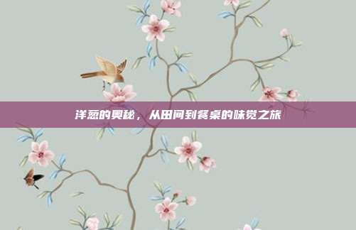 洋葱的奥秘，从田间到餐桌的味觉之旅