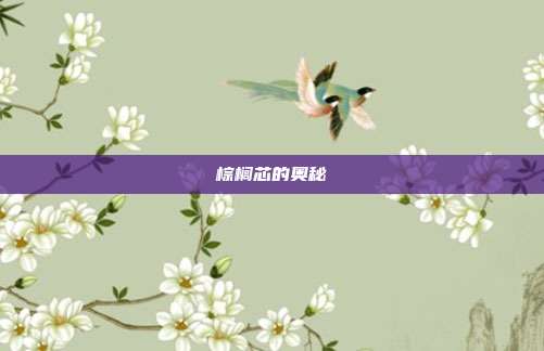 棕榈芯的奥秘