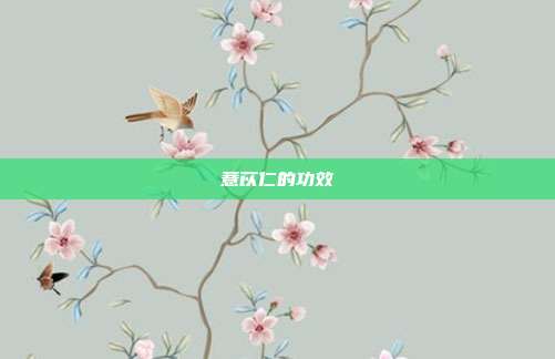 薏苡仁的功效