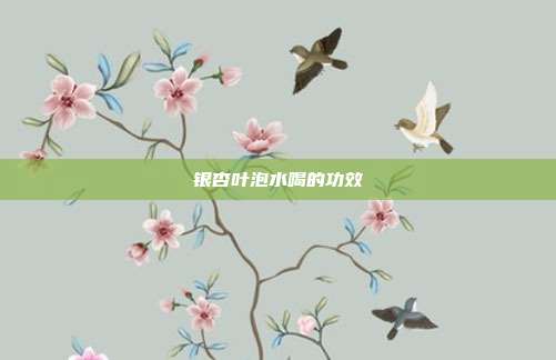 银杏叶泡水喝的功效