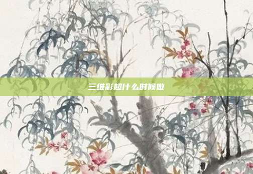 三维彩超什么时候做