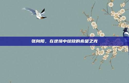 张向阳,在逆境中绽放的希望之光