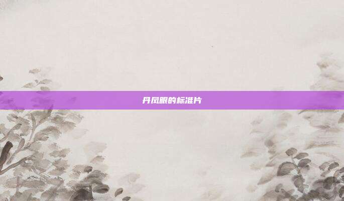 丹凤眼的标准片