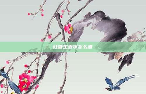 红糖生姜水怎么煮