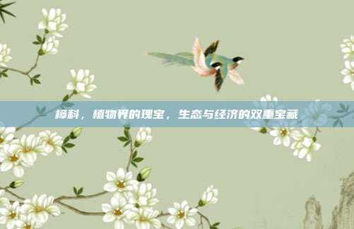 樟科,植物界的瑰宝,生态与经济的双重宝藏