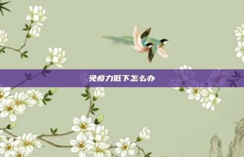 免疫力低下怎么办