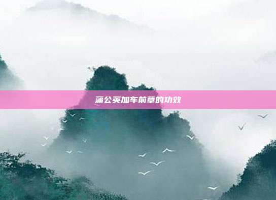 蒲公英加车前草的功效