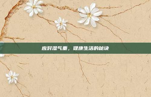 应对湿气重,健康生活的秘诀