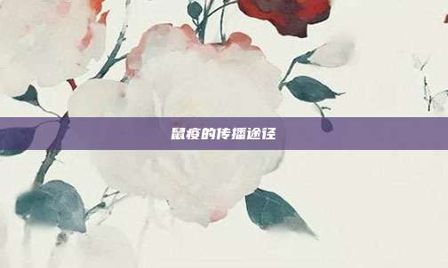 鼠疫的传播途径